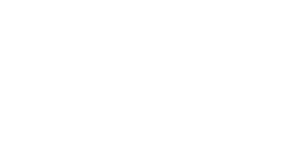 네오넷 logo